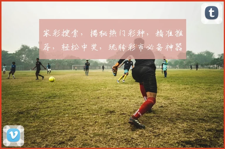 家彩搜索，揭秘热门彩种，精准推荐，轻松中奖，玩转彩市必备神器