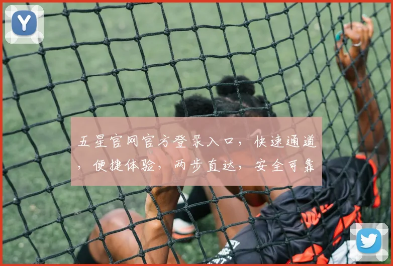 五星官网官方登录入口，快速通道，便捷体验，两步直达，安全可靠